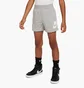 Шорти дитячі Nike Sweat Shorts Grey 86L100-042