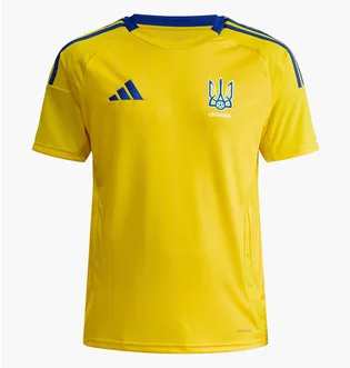 Футболка мужская Adidas Ukraine 24 Performance Yellow IK2251