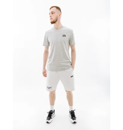 Футболка мужская Helly Hansen Nord Graphic Hh T-Shirt Grey 62979-949