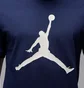 Футболка мужская Air Jordan Jumpman Ss Crew Blue CJ0921-414