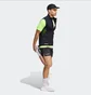 Шорты мужские Adidas Ultimate Black HZ4440