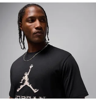 Футболка мужская Air Jordan Dri-Fit Black HQ9091-010