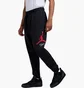 Штани чоловічі Air Jordan Ess Flc Baseline Black FD7345-013