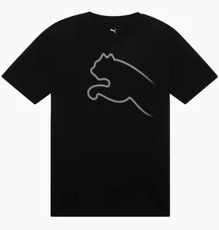 Футболка чоловіча Puma Graphics Gradient Black 691933-01