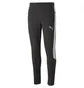 Штаны мужские Puma Evostripe Pants Dk Black 673315-51