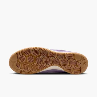 Футзалки детские Nike Sb Gato Ic Violet HQ6020-500