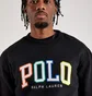 Світшот чоловічий Ralph Lauren Polo Rl Fleece Logo Sweatshirt Black 710890191001