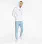 Худи мужское Puma Brand Love Multiple White 533658-02