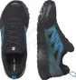 Кроссовки мужские Salomon Wander Gtx Black L47290800