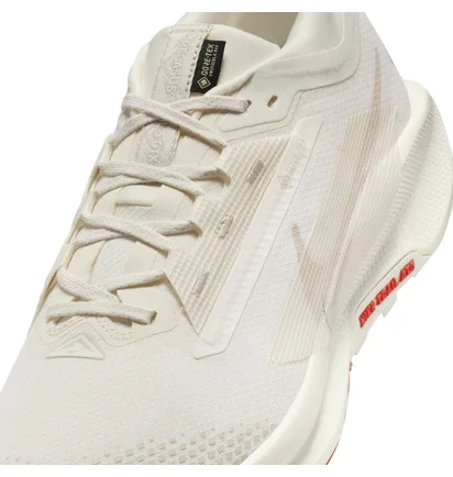 Кросівки чоловічі Nike Pegasus Trail 5 Gore-Tex Beige FQ0908-100
