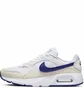 Кроссовки женские Nike Air Max Sc Beige CW4554-110