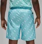 Шорты мужские Air Jordan Essentials Allover Print Poolside Turquoise DX9673-464