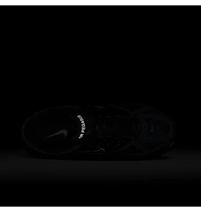 Кросівки чоловічі Nike Air Pegasus 2005 Black HV1792-001