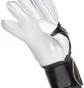Рукавиці воротарські дитячі Select 03 Youth V25 Black/White 601031-101
