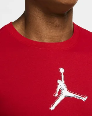 Футболка мужская Air Jordan Performance GFX Crew T-Shirt Red CZ8087-687