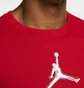Футболка чоловіча Air Jordan Performance GFX Crew T-Shirt Red CZ8087-687