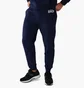 Штани чоловічі Gap Logo Fleece Pants Tapestry Navy 221236051