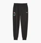 Штаны мужские Puma Bmw M Rsport Ess Black 621302-01