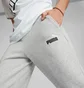 Штаны мужские Puma Essentials+ 2 Col Logo Grey 586767-04