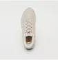 Кросівки жіночі Nike Air Max Dn Beige FJ3145-101