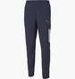 Штаны мужские Puma Teamliga Sideline Pants Blue 657261-06
