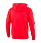 Толстовка мужская Jeep Hooded Sweatshirt Full Zip The Spirit Of Adventure Red O102570-R699