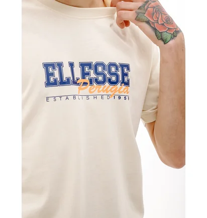 Футболка мужская Ellesse Zagda T-Shirt Beige SHV20122-904