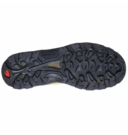 Ботинки мужские Salomon Quest Rove Mid Gtx Olive 471814