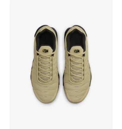 Кросівки дитячі Nike Air Max Plus Gs Wheat Grass Beige DZ6308-700