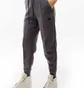 Штаны женские Nike W Tch Flc Mr Jggr Grey FB8330-003