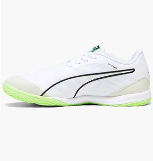 Футзалки мужские Puma Ibero Iv White 107418-01
