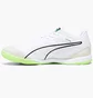 Футзалки мужские Puma Ibero Iv White 107418-01