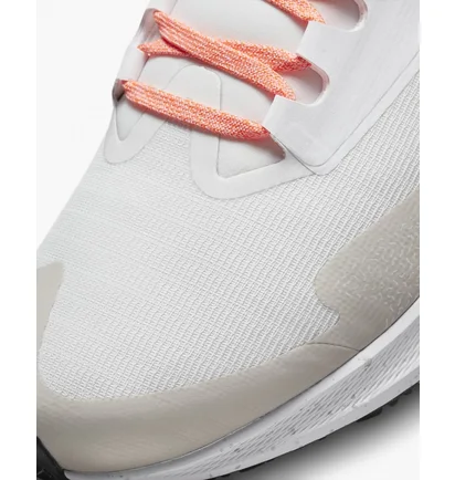 Кросівки жіночі Nike Air Zoom Pegasus 39 Shield Beige Do7626-004