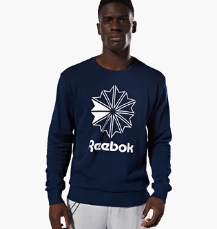 Свитшот мужской Reebok Classic Big Iconic Crewneck Sweatshirt Blue DT8121