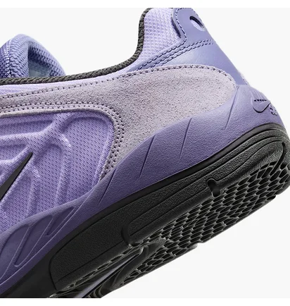 Кроссовки мужские Nike Sb Vertebrae Violet FD4691-501