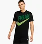 Футболка чоловіча Nike Giannis Freak Black BV8265-015