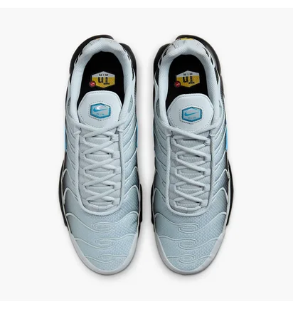 Кросівки чоловічі Nike Air Max Plus Pure Platinum Grey DM0032-015