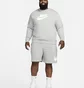 Свитшот мужской Nike Sportswear Club Fleece Graphic Crew Grey Dq4912-063