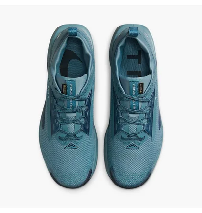 Кросівки чоловічі Nike Pegasus Trail 5 Gtx Blue FQ0908-005