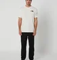 Футболка мужская The North Face Short-Sleeve Box Beige NF0A812HOFM