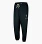 Штаны мужские Nike Team 31 Standard Issue Dri-Fit Nba Trousers Black FQ3464-010