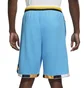 Шорты мужские Nike Dri-Fit Dna Move 2 Zero Blue DA5844-416