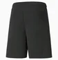 Шорты мужские Puma Teamliga Black 704924-03