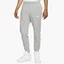 Штаны мужские Nike Nsw Club Jggr Bb Grey Bv2671-073