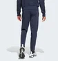 Штани чоловічі Adidas As Roma Seasonal Doubleknit Blue IT3869
