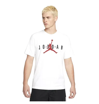 Футболка мужская Air Jordan Air Wordmark White Ck4212-103