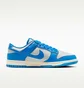Кросівки чоловічі Nike Dunk Low Retro MenS Shoes Blue HF5441-002