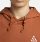 Худі чоловіче Nike Acg Therma-Fit Fleece Pullover Hoodie Brown DZ3392-246