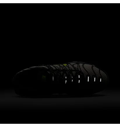 Кросівки чоловічі Nike Air Max Plus Utility Grey FD0670-003