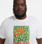 Футболка мужская Nike Sportswear T-Shirt White FB9815-100